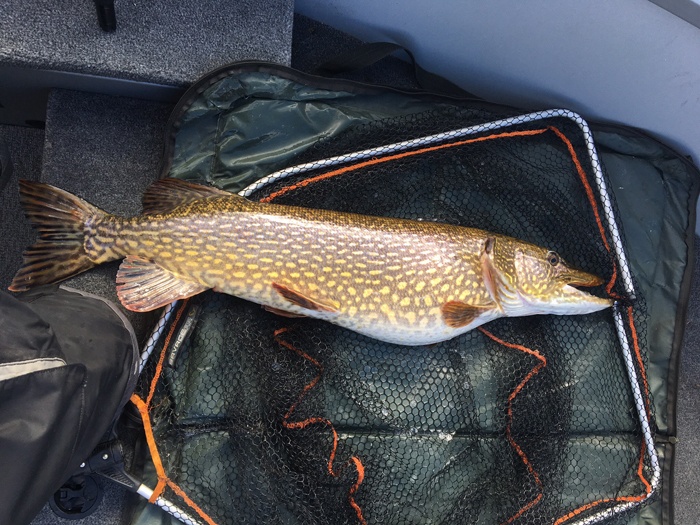 8000g 100cm