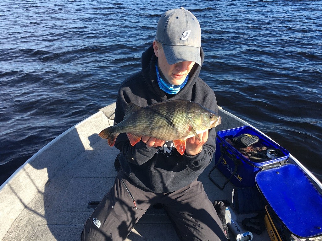 Alexander Eriksson med 6.nye abborer!!!!!