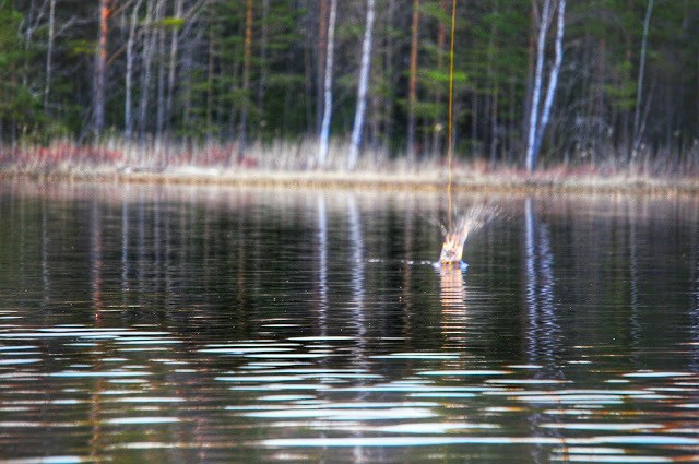 klikk på bilde for å lese resten.