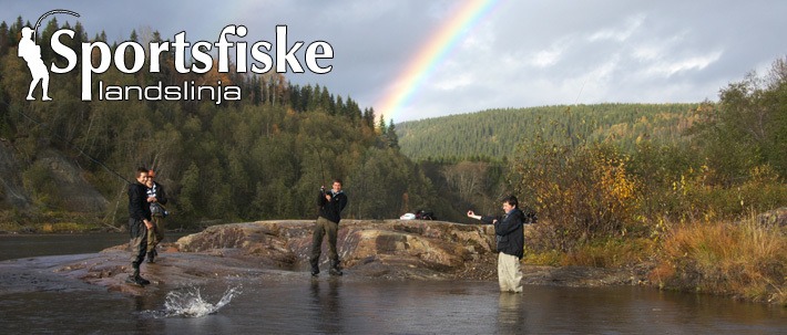 Sporstfiske