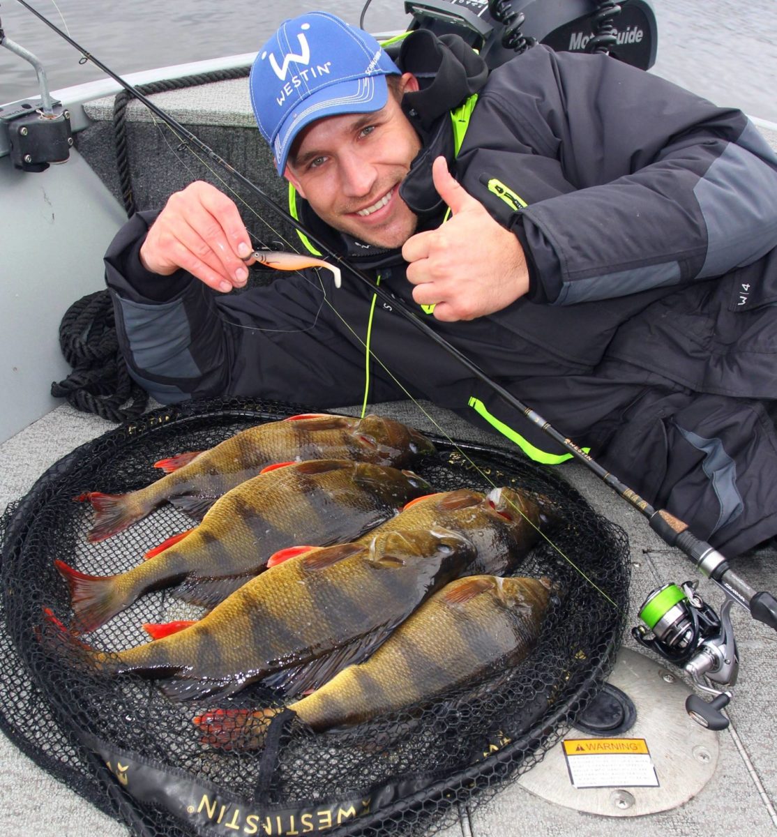 Amazing perchfishing for Narvelo and Petersson