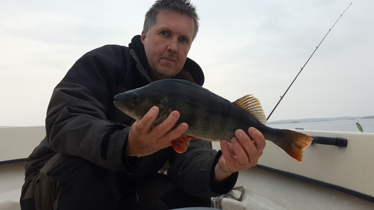 Äntligen första över kilot i år! Nitro Shad 90 green sprat.