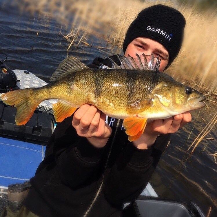 1100gr og 44cm