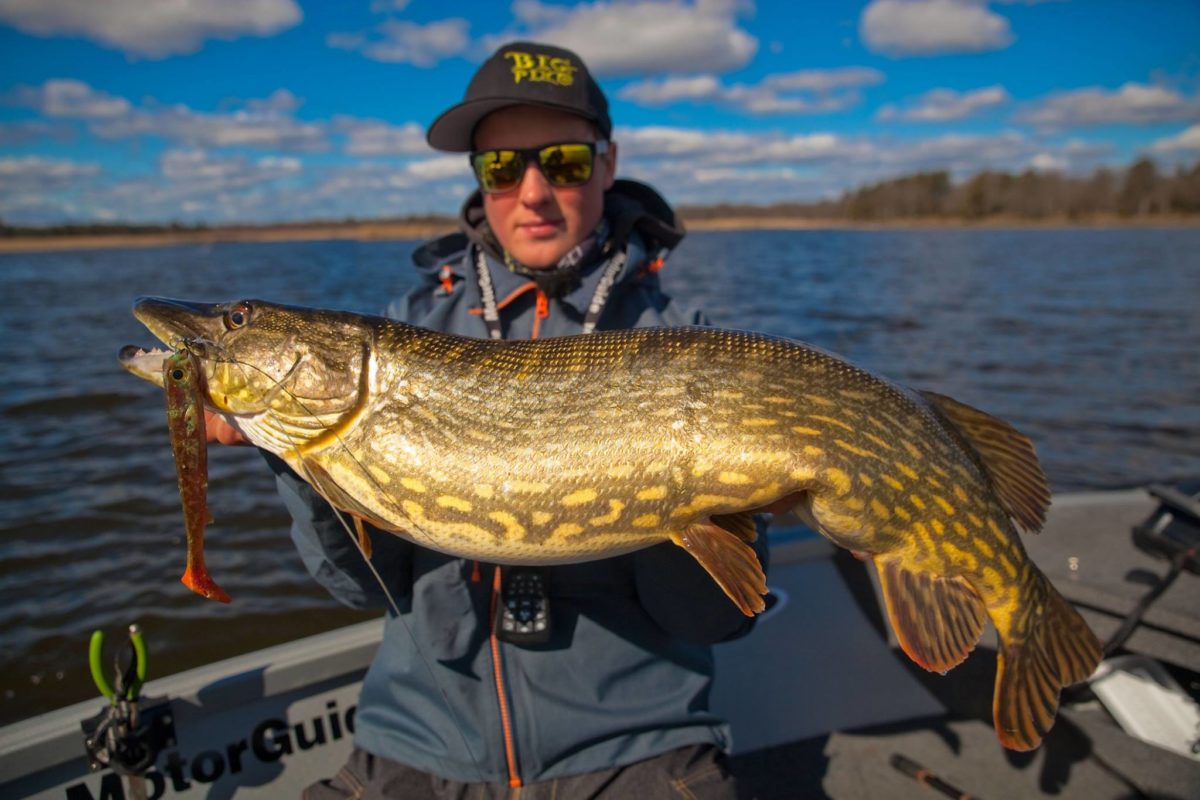 Edvin Johansson’s Flatnose pooldemo. Pooldemo porno :-)