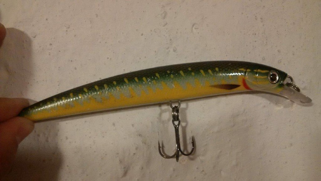 13242082_10153837877665756_891486229_o