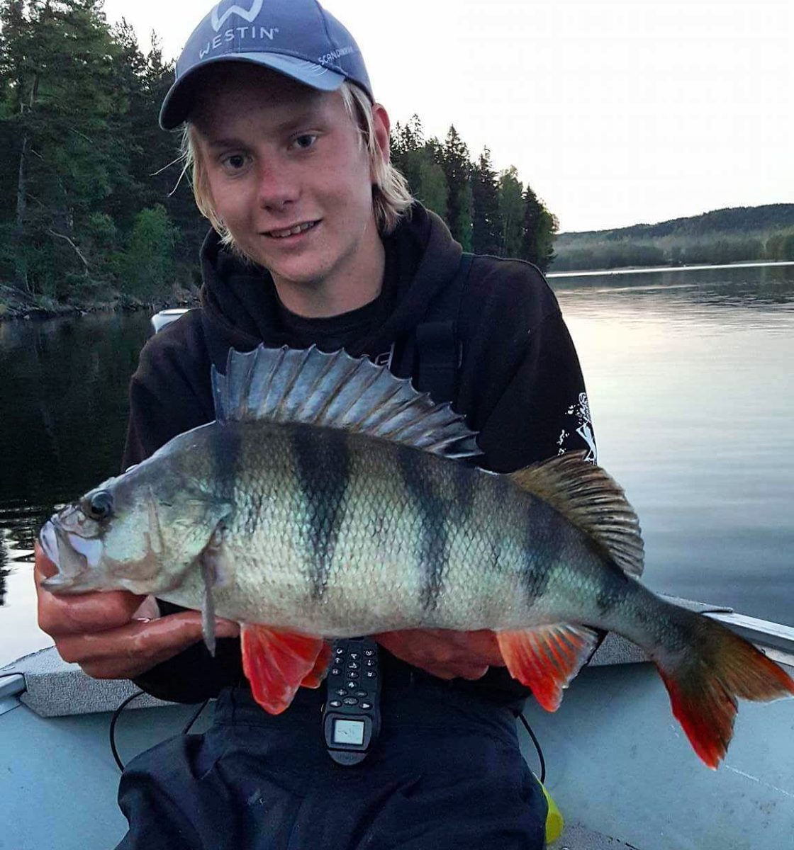 Tommie Magnusson med 10 kg abbor.