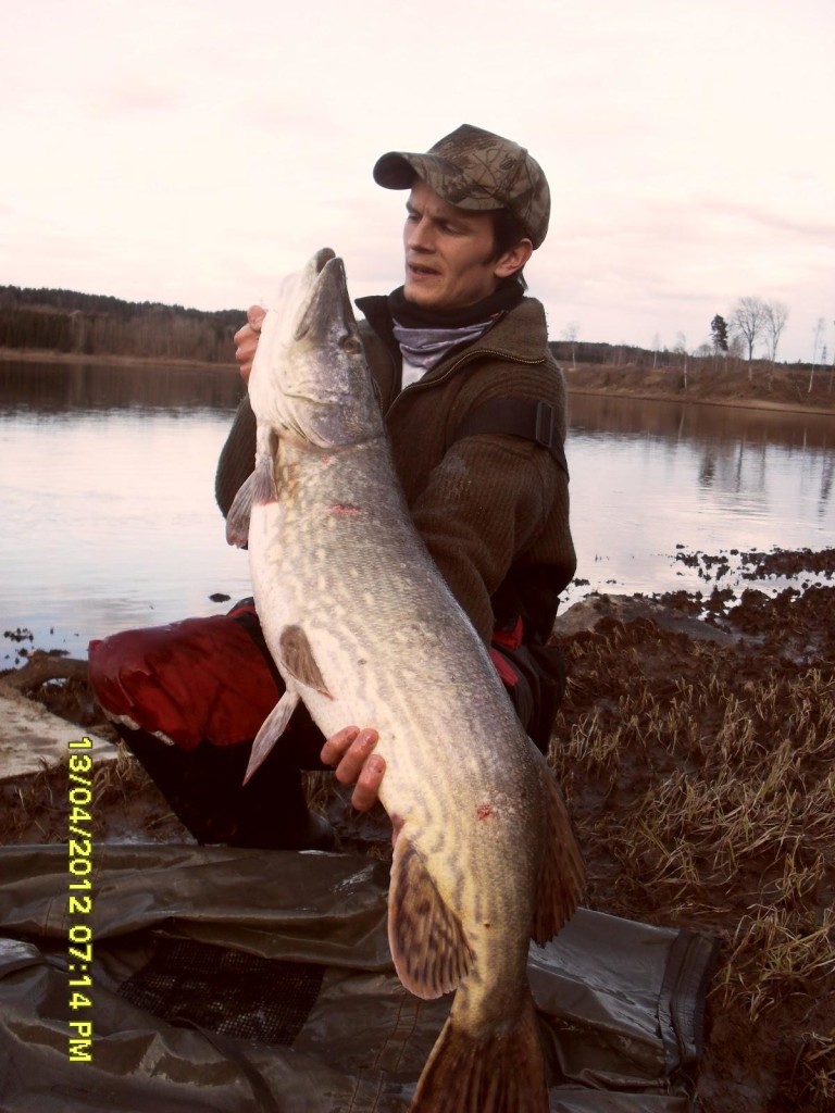 51233183e4b01b3acf14ed0a_w