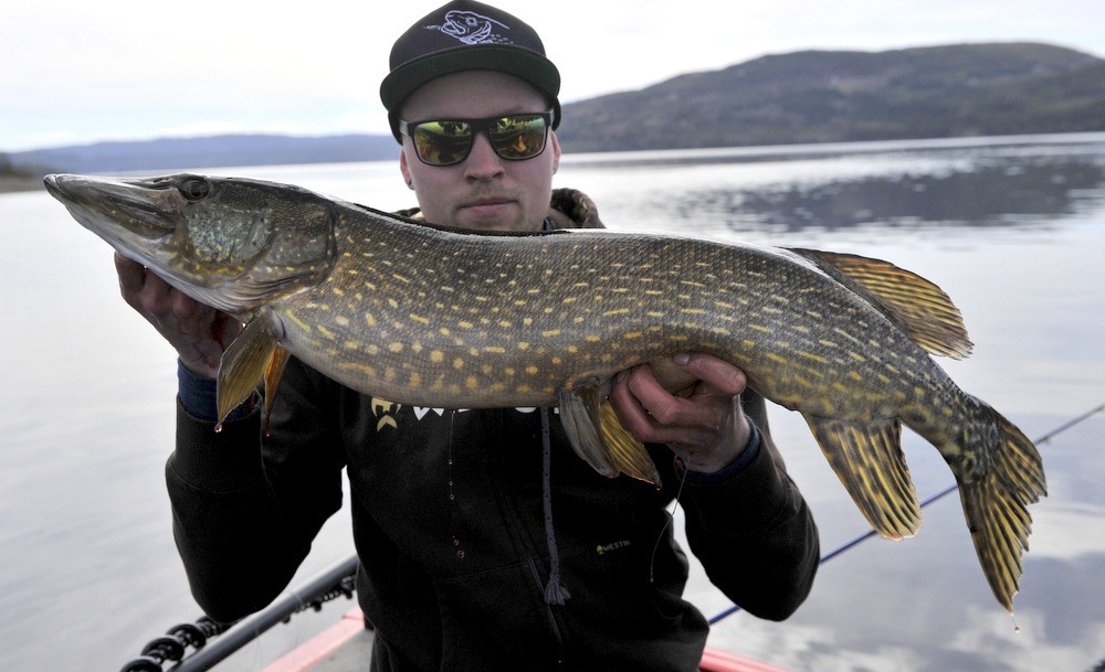 Fredrick Evensen registrerar en vacker gädda.