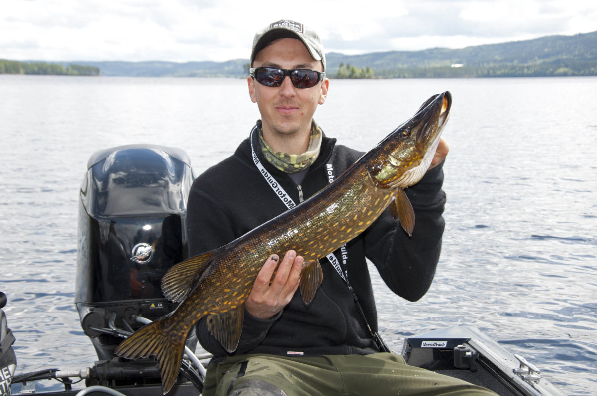 Minner om reglene for gjeddefiske i Glomma !!!!!