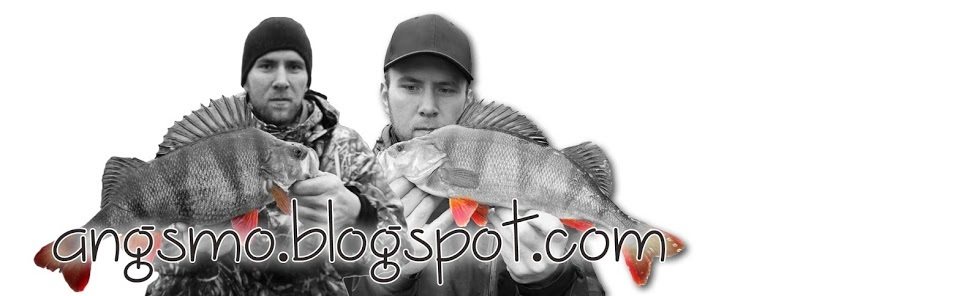 Första tävlingen för i år är avklarad! (Råbelövshugget)