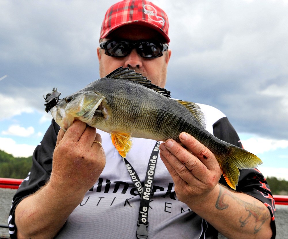 600gram og tok krepsen med en realt hugg.
