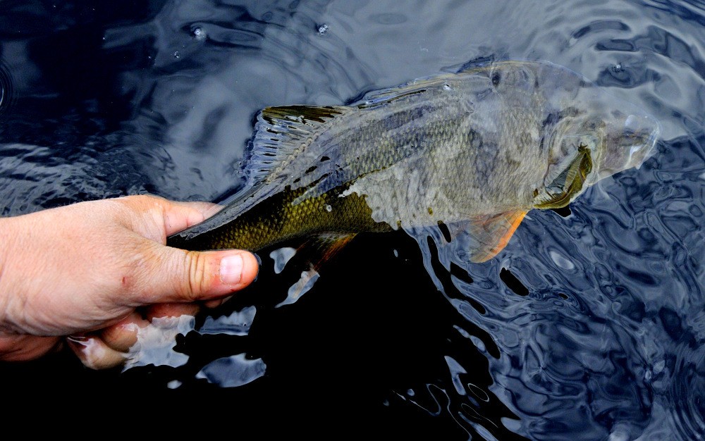 Rett og slett jævlig morro….for en på mitt nivå :-)