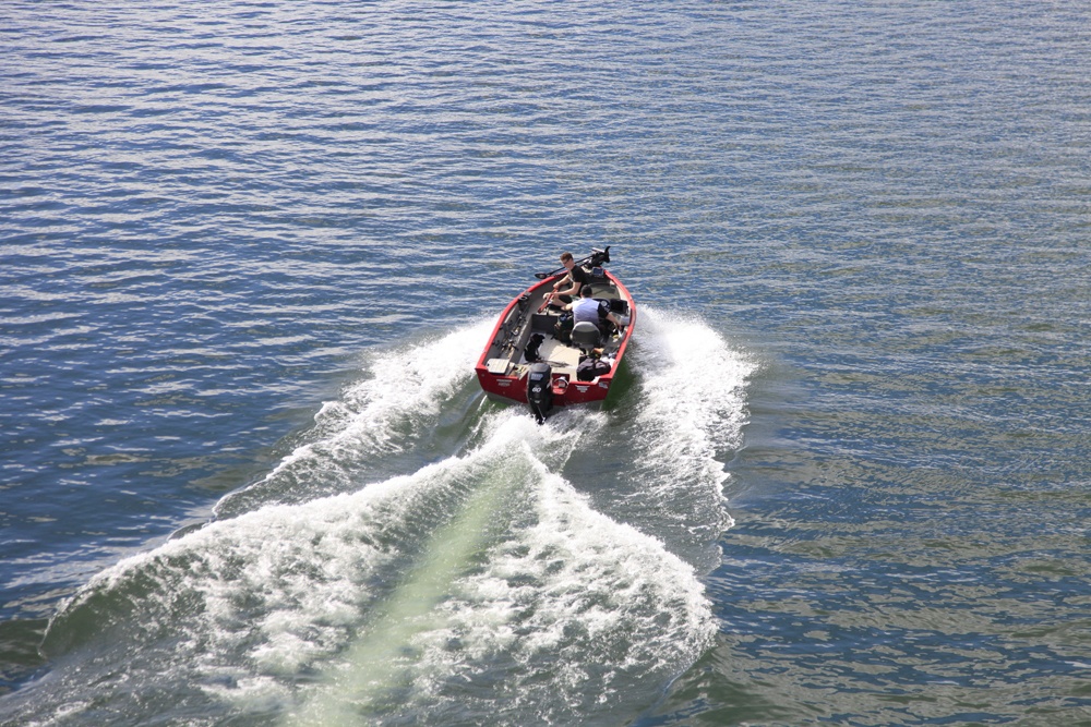 En av de 10+ fiskene som har gledet meg mest.