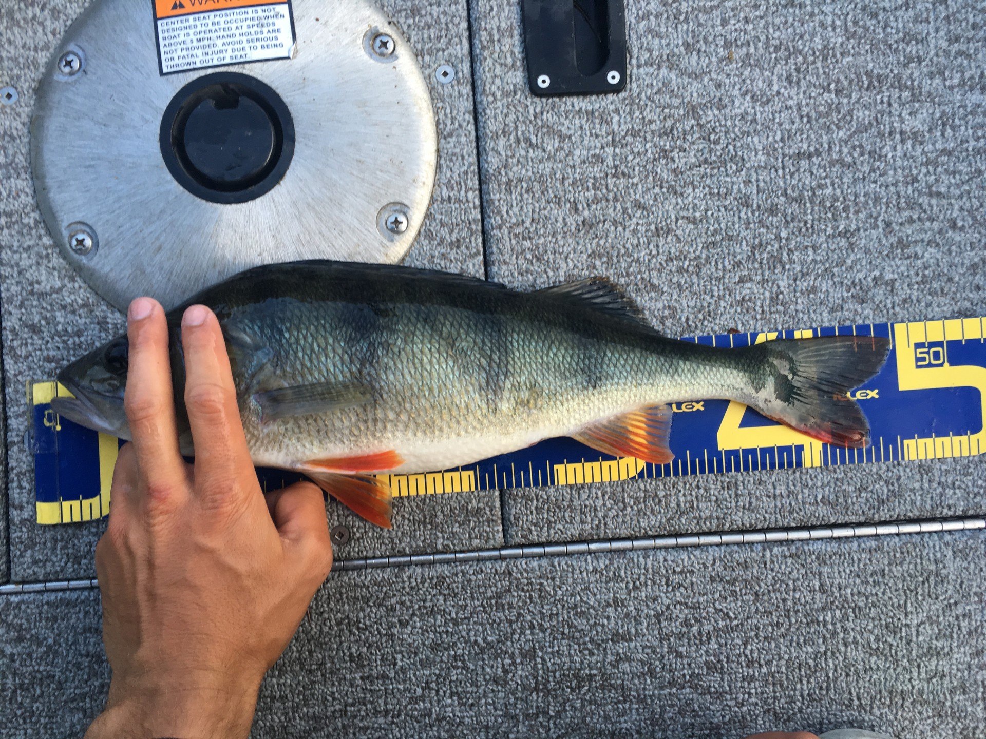 1070gr og 47cm En betydligt smalare fisk som slukade i sig en Illex Nitro shad i färgen clear ayu.