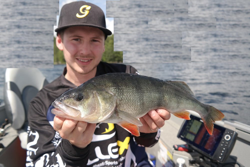 1100gr og 49cm Small stenhårt på en Illex Nitro Shad 90 i färg Blue Herring, snabbt fiskad med 14g skalle :)