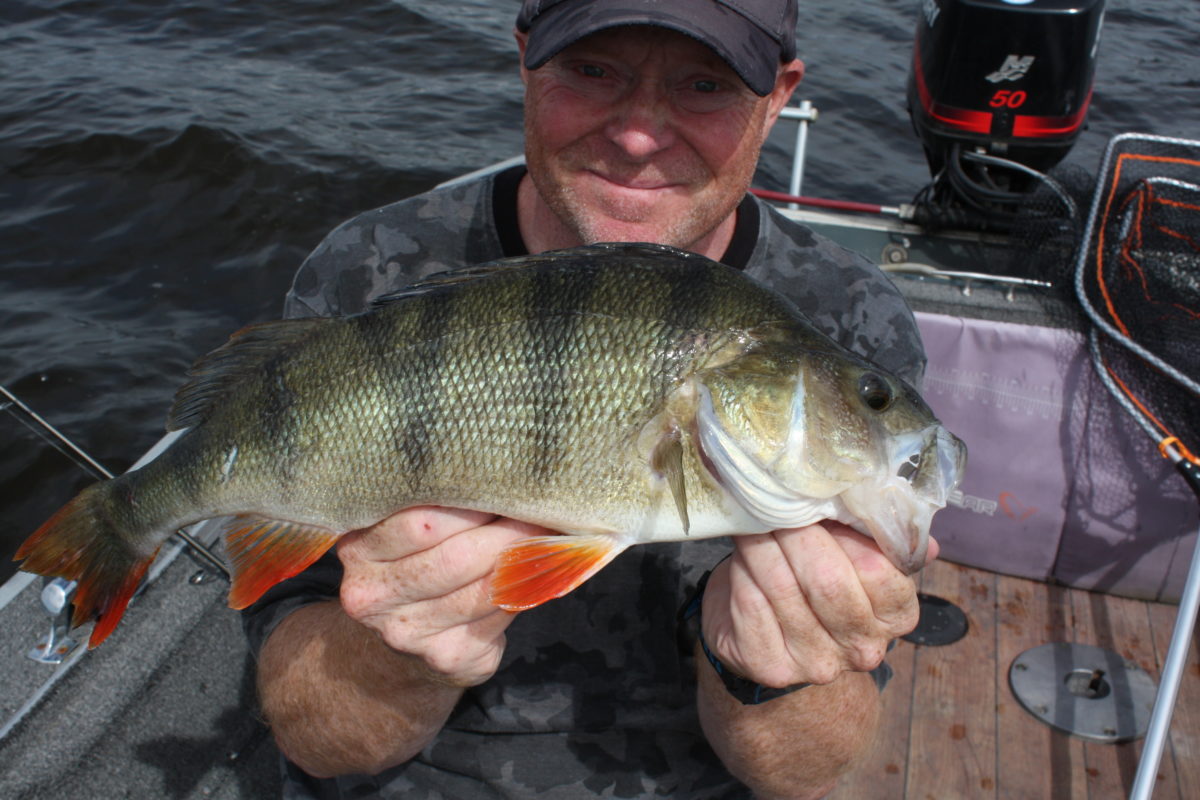 Steinar bytter ut fisk.