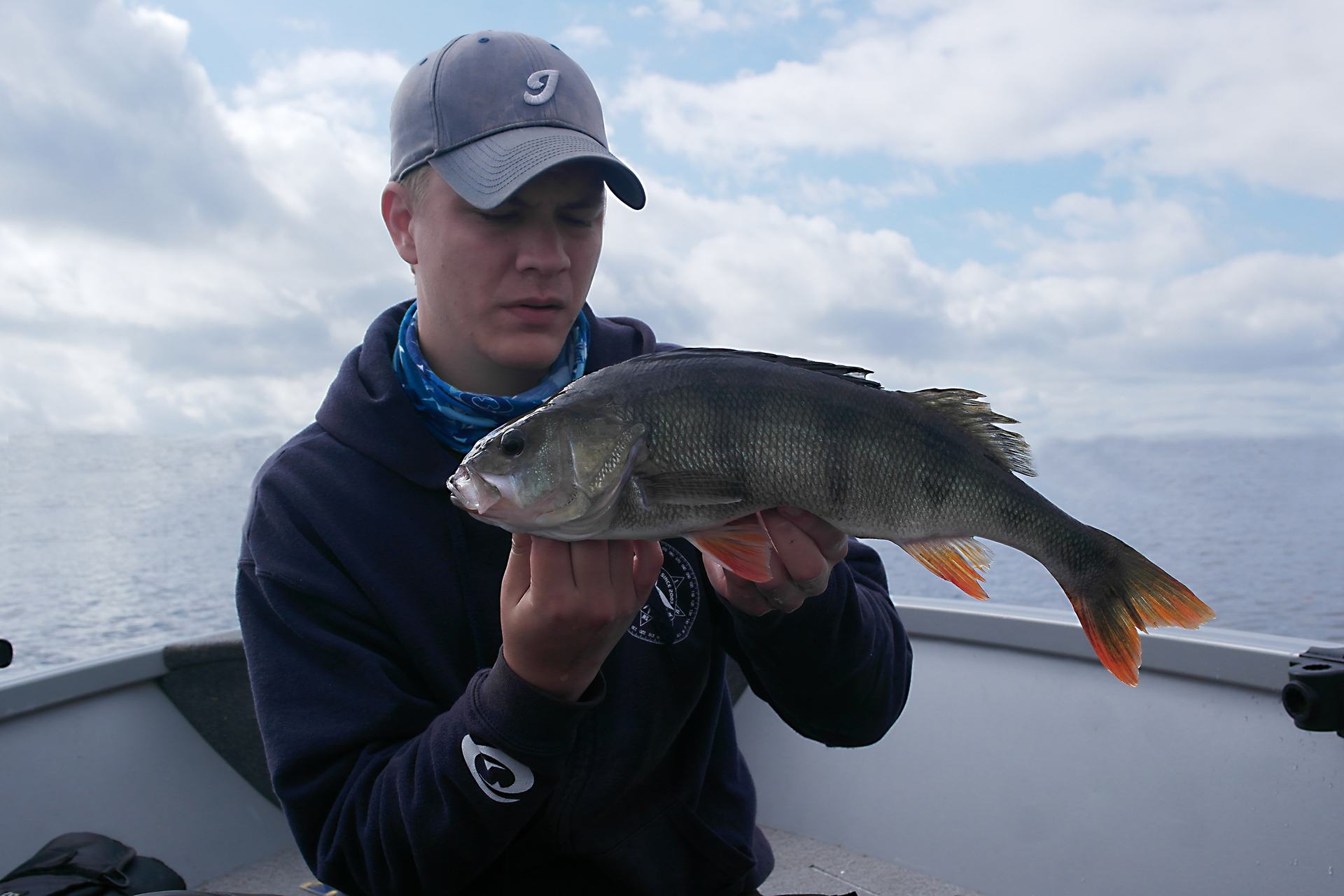1120gr og 47cm Högg på en Illex Nitro Shad i färgen Blue herring