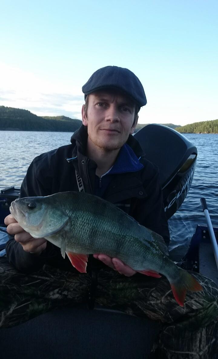 1200 gr og 45cm