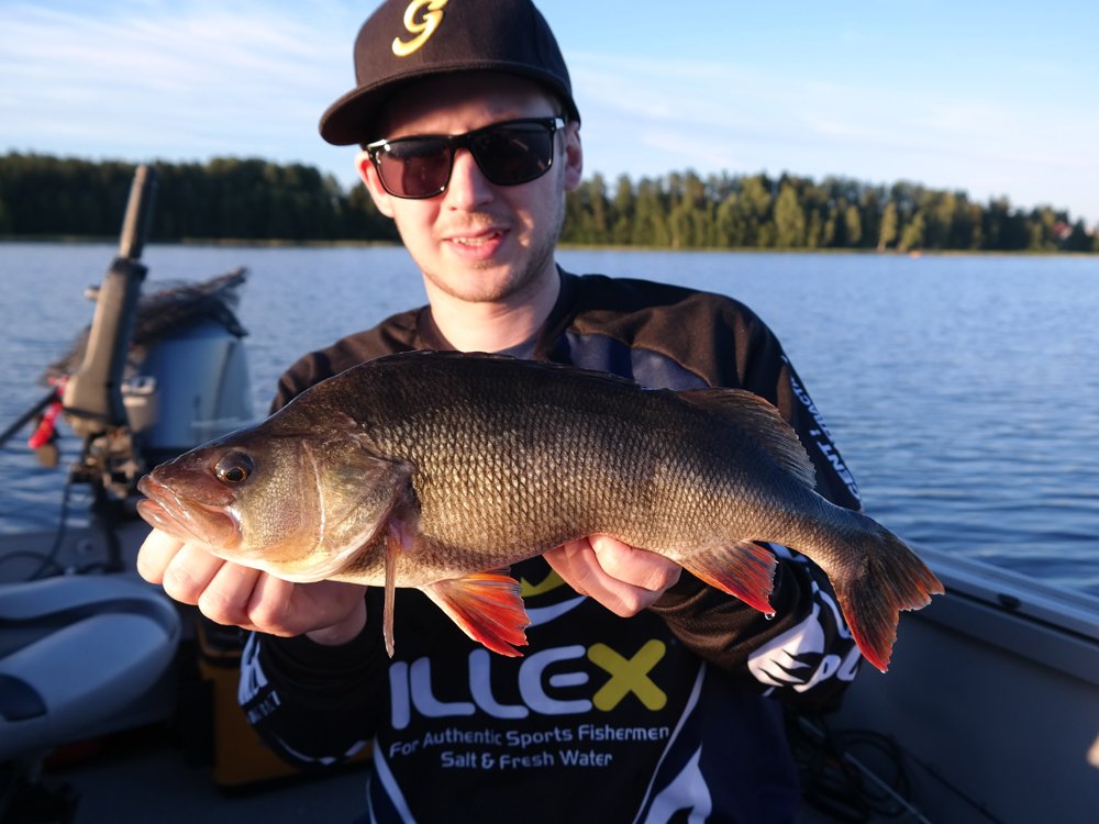 1270gr og 46cm Fin kvällsfisk som tillslut föll för en snabbt fiskad Illex Nitro Jerk Lightning 5" på Heavy Straight Jig Head 10g. Riktigt effektiv combo som jag tagit flera stora borrar på.