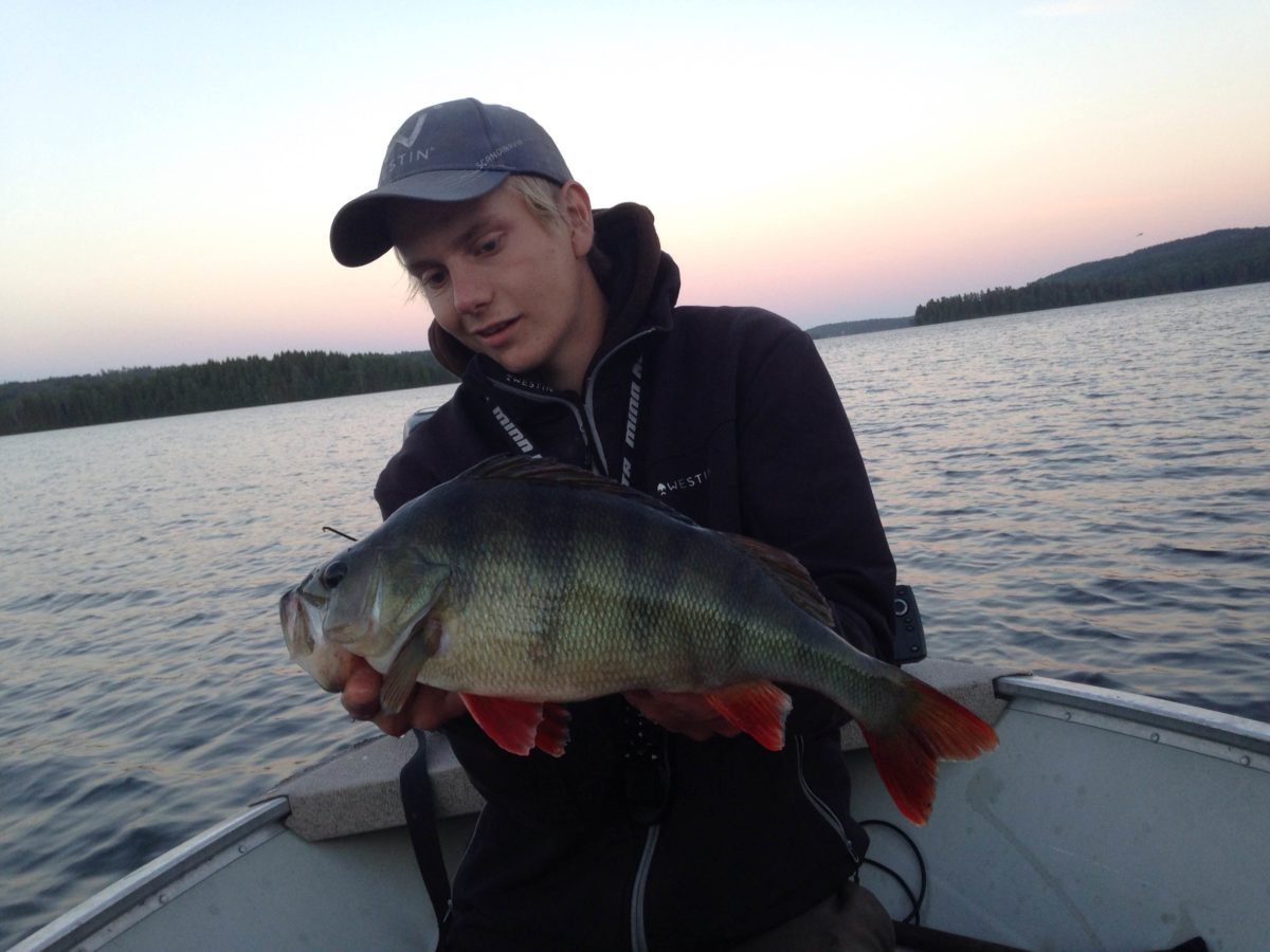 To flotte abborer på Tommie Magnusson