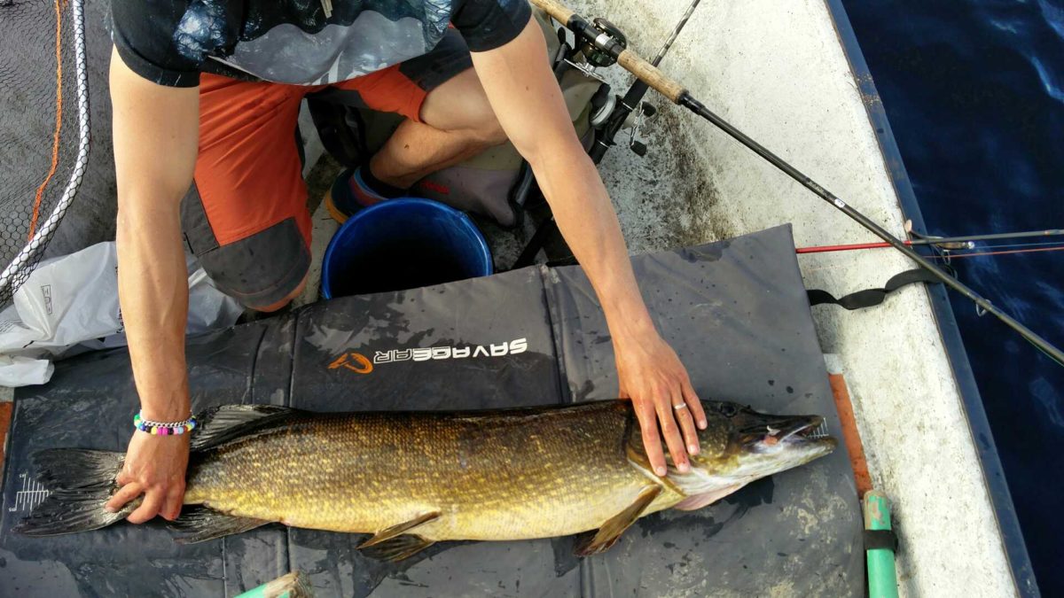 8650g 116cm Andreas Ingrids
