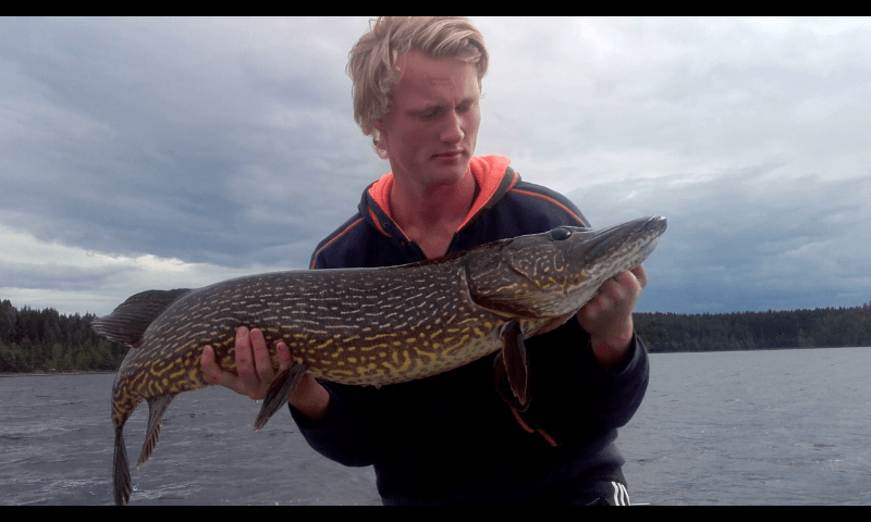 8700g 105cm