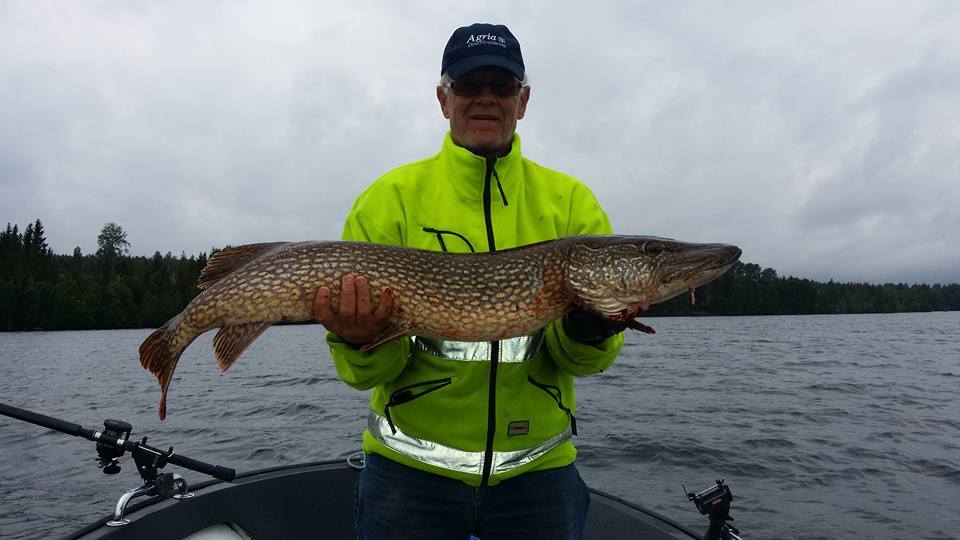 Vi hälsar Patrick Dunn välkommen!