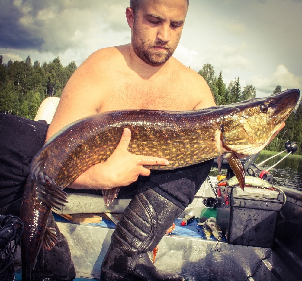 Mikael Vestergren med 9+