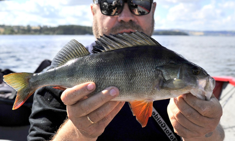 Erik bytter ut en fisk.