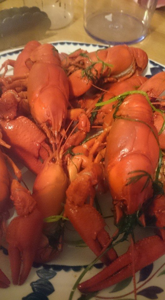 13895190_10154014198915756_5608649749621679915_n