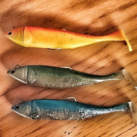 14080078_10154046606375756_8761615445135035938_n