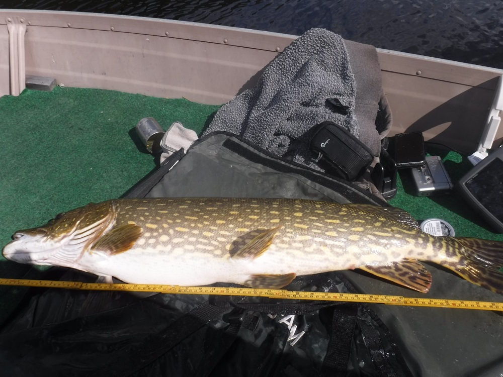 8600g 106cm Morten Opsahl
