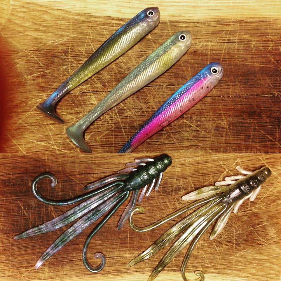 14199554_1668673296721417_6719652629273552124_n