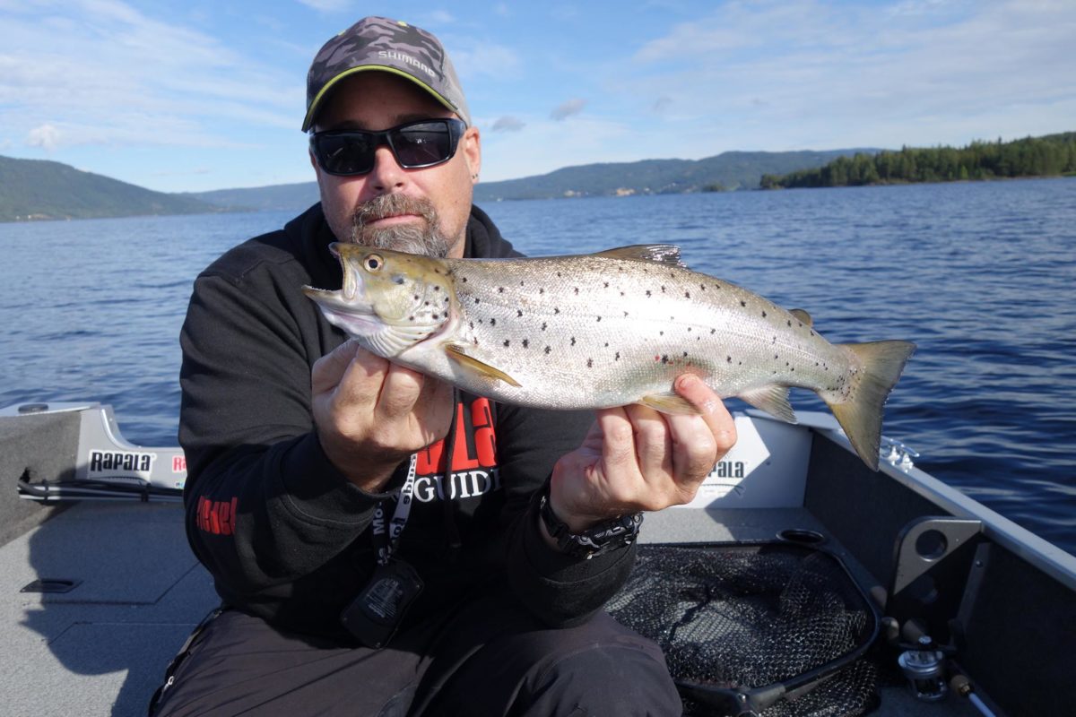 Rapala proguide Norway News.