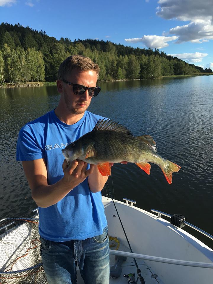 1420gr og 47cm Tatt på Westin Shad Teez 9cm