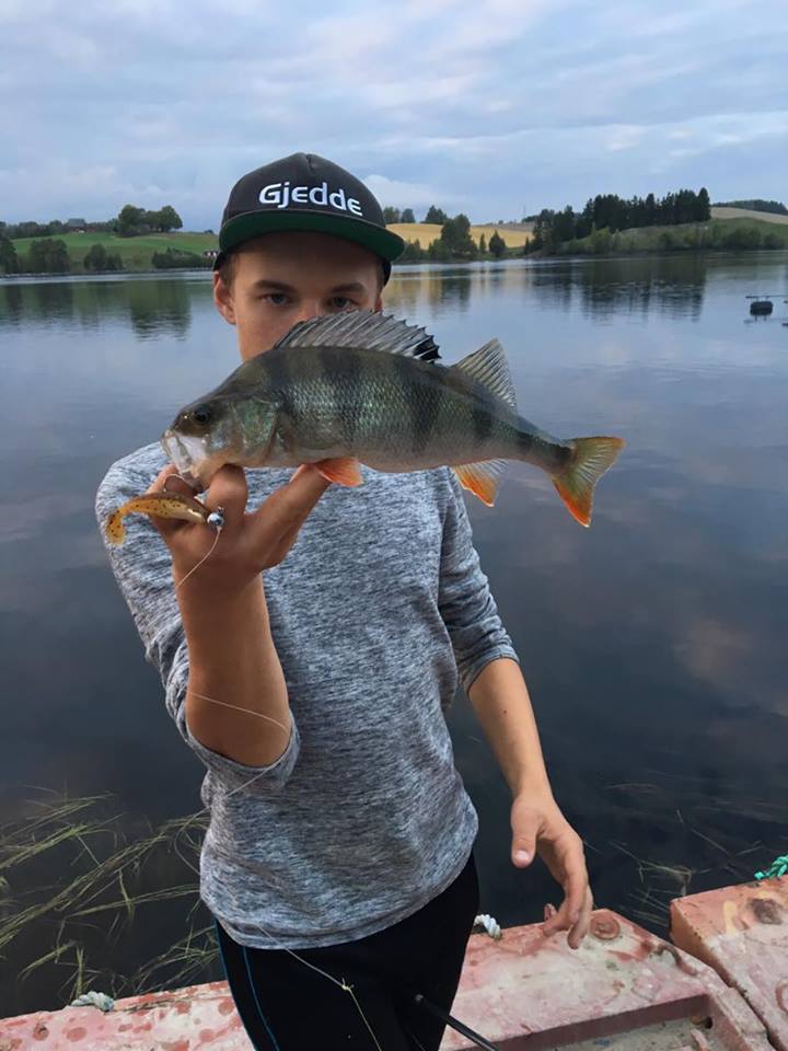 14218345_1081929405217083_1338472551_n