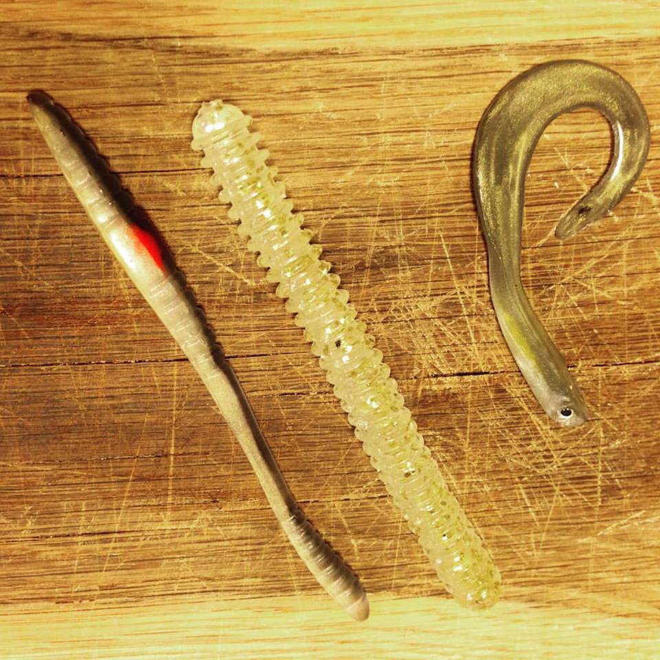 14238127_1669063953349018_2906768030663058039_n