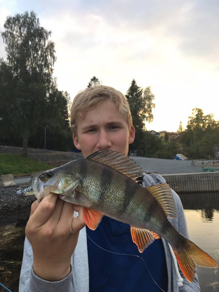 14249338_1081929415217082_1583016666_n