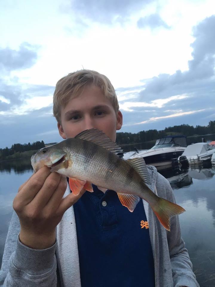 14269805_1081929365217087_1654604046_n