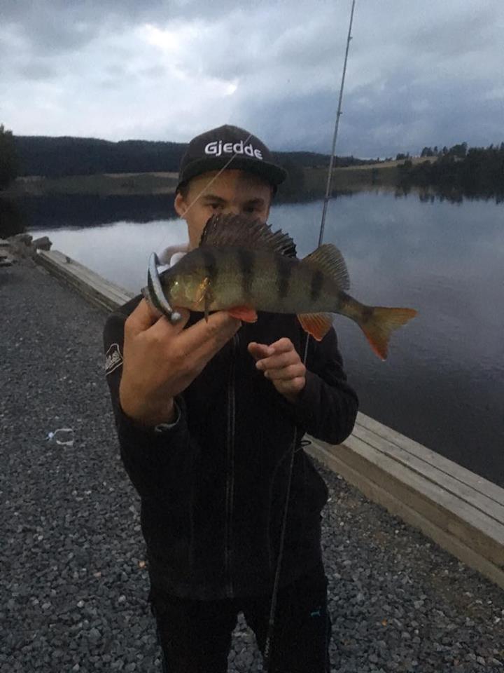 14269889_1081929368550420_658238898_n