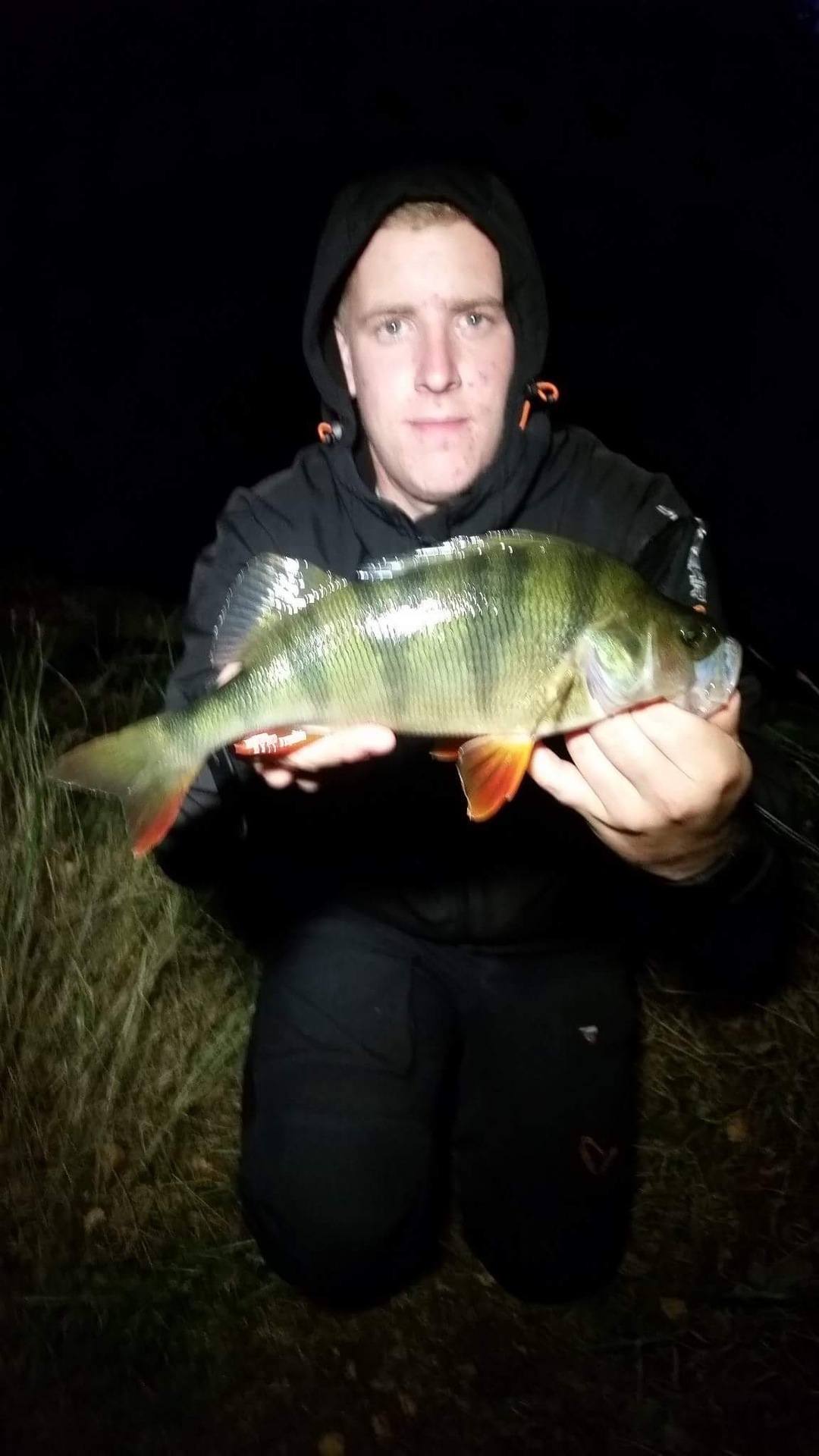 460gr-og-33cm