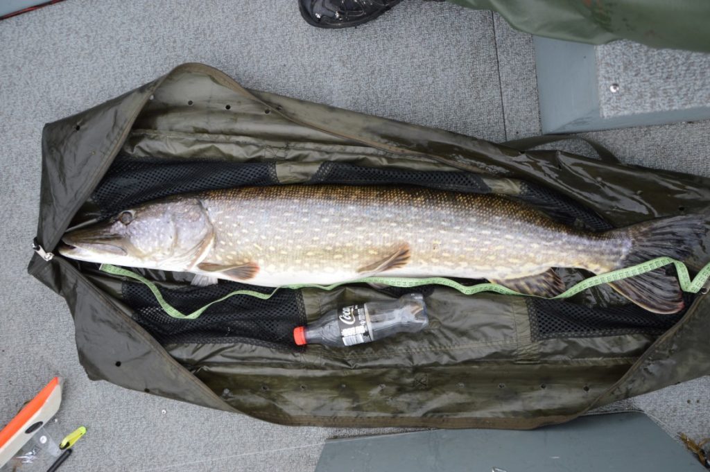 9160g 111cm