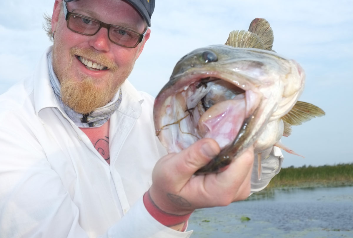 A Swede in the boat – Mike Iaconelli – Robbo #40 (kos deg med Robert og bassfiske med Mike)