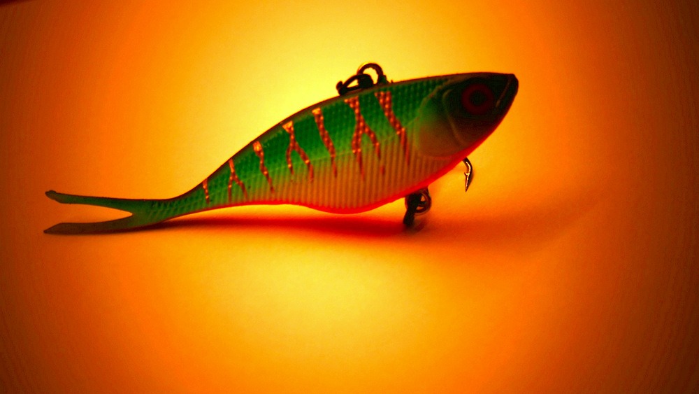 News from Illex and gunki (til våre noe mindre predatorer)