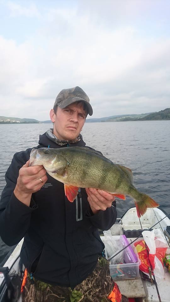1140gr-og-42-cm