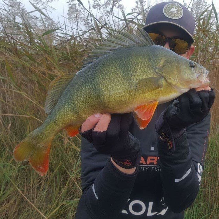1440gr-og-44cm
