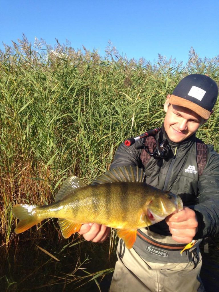 14614387_1158500317549900_2119556621_o