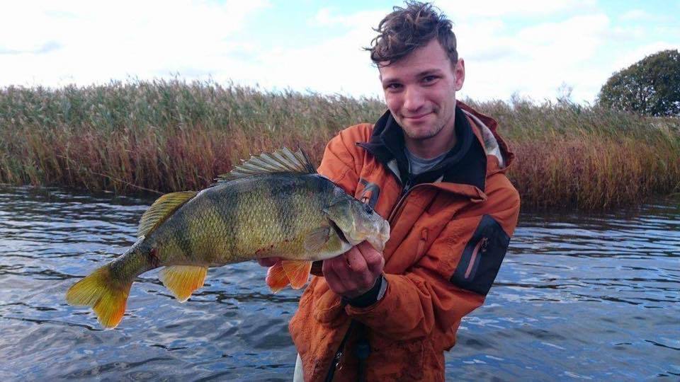 14642357_1161253197274612_9001033169460365016_n