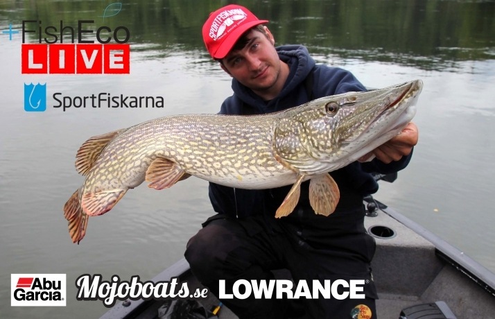 Vi håper på at fiskerikt show.