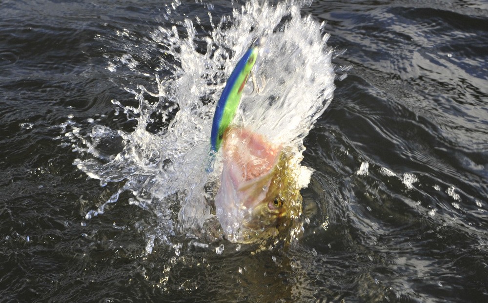 Deilig å komme ut igjen